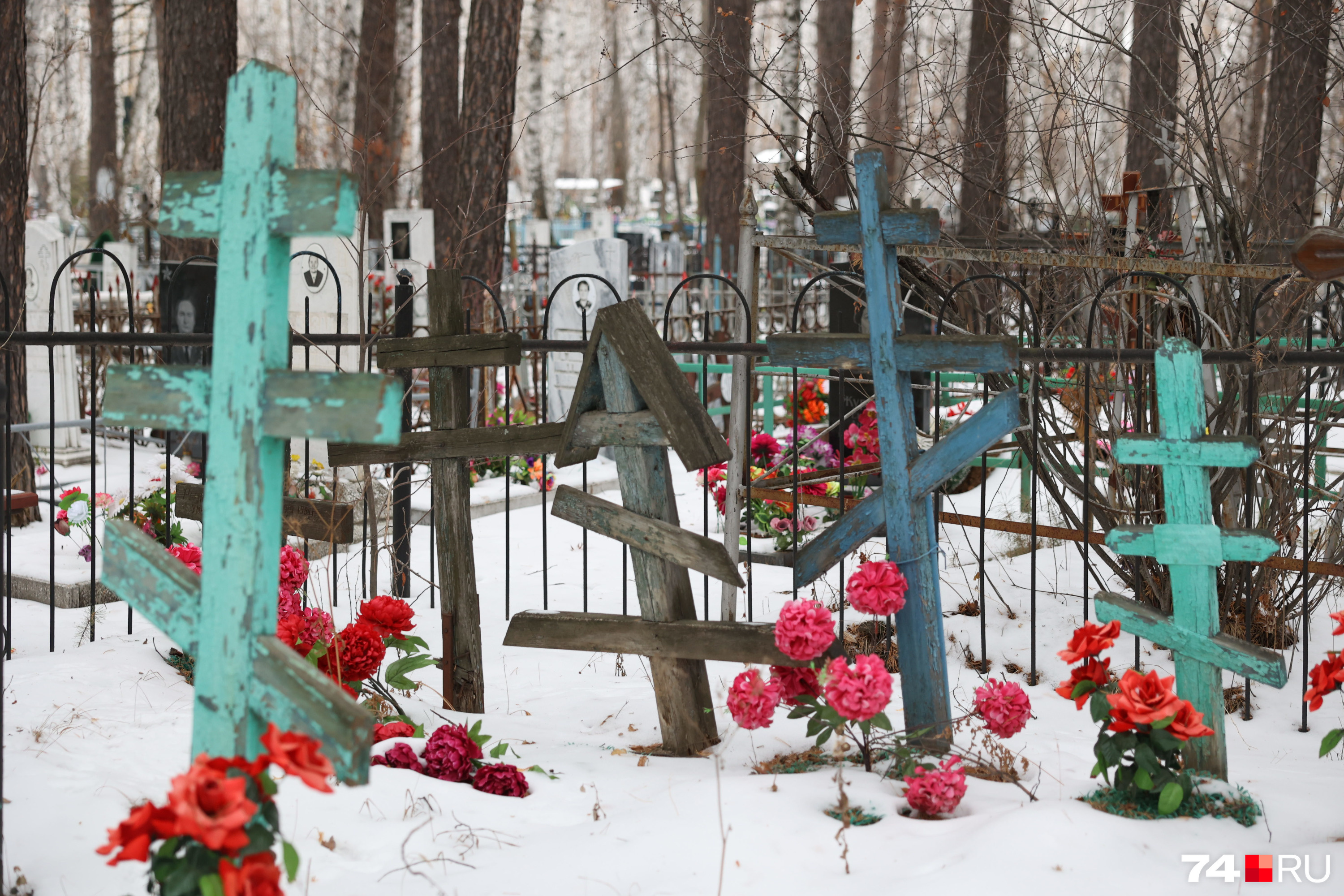 митрофановское кладбище фото