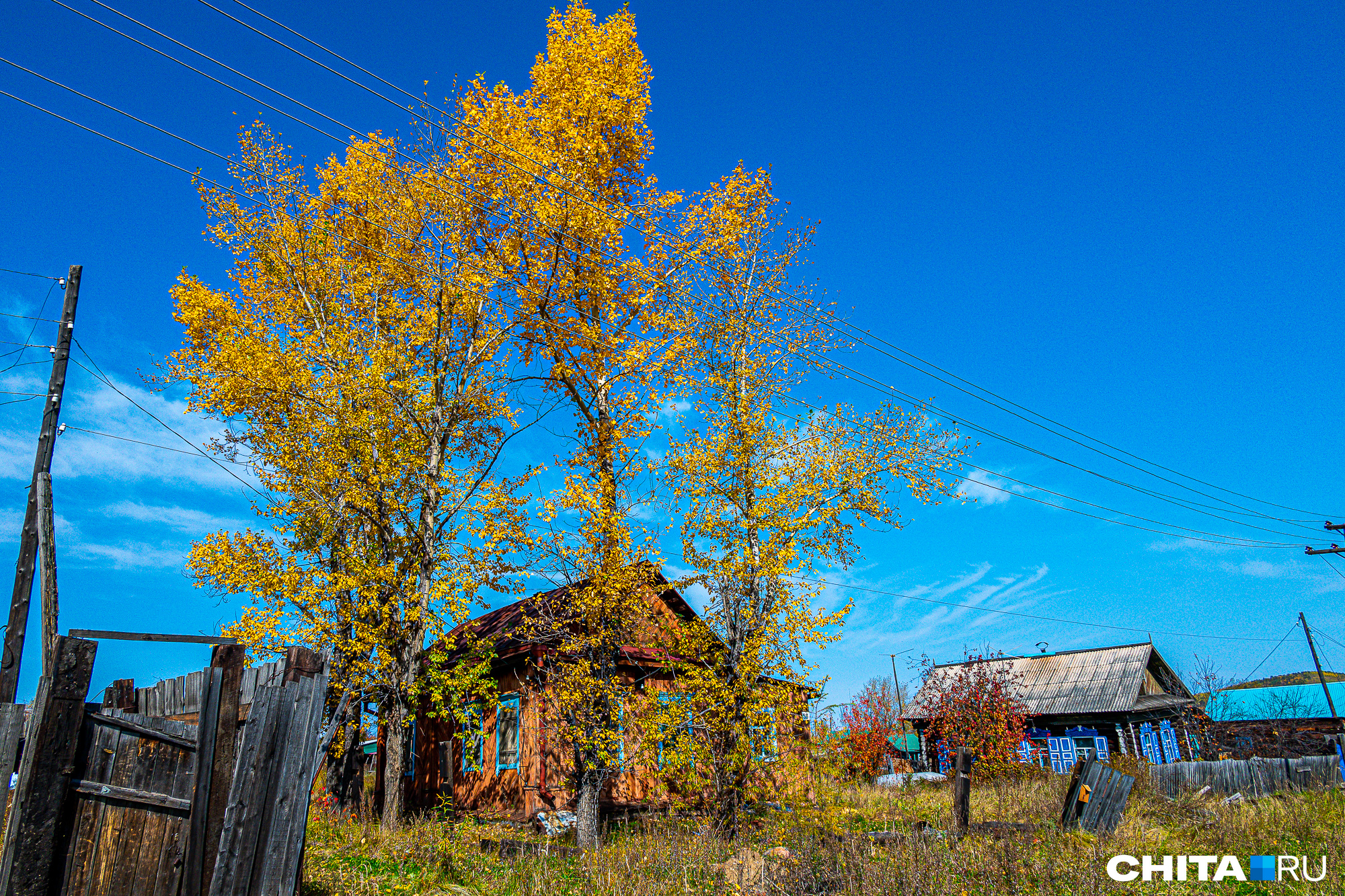 Осень в Чите