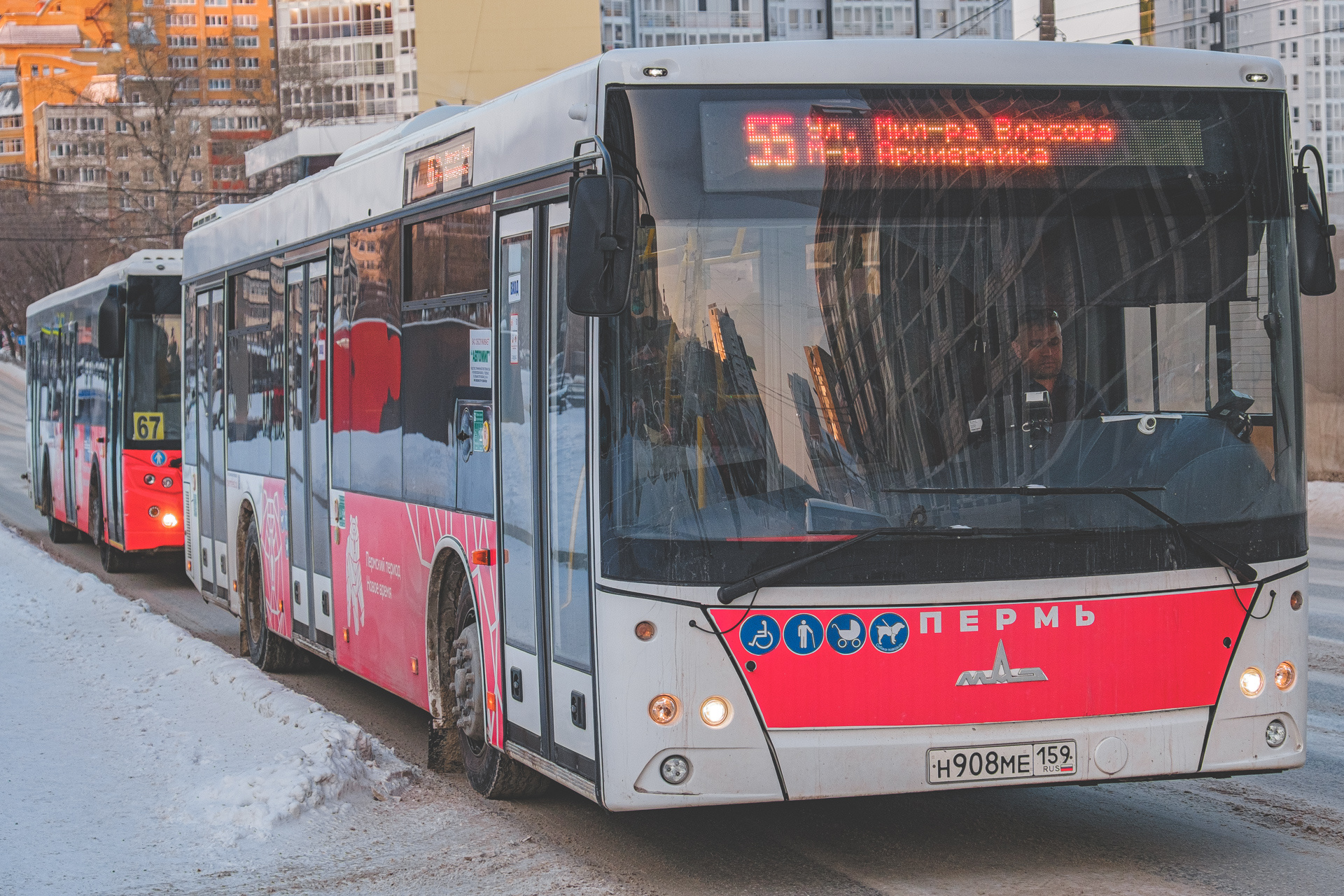 автобус москва пермь