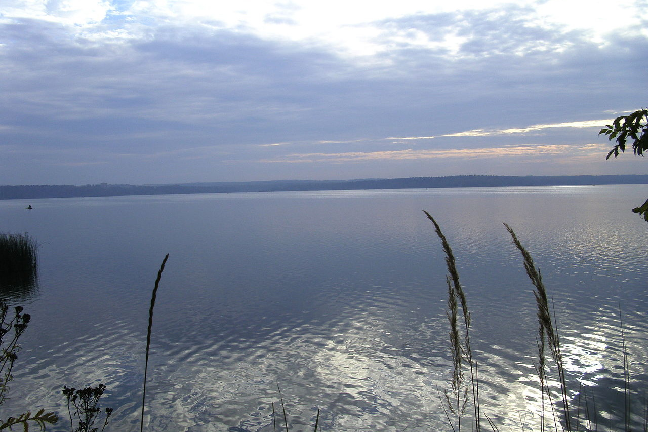 Озеро Сенеж Московская область
