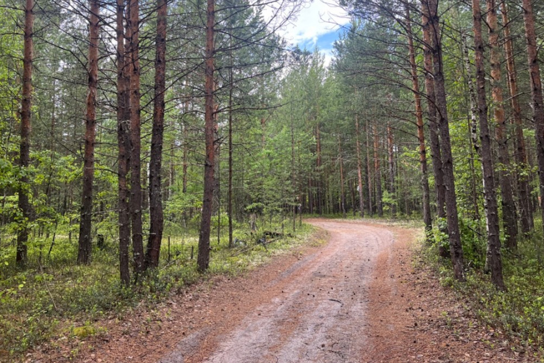 Стеклышками озер что за троп