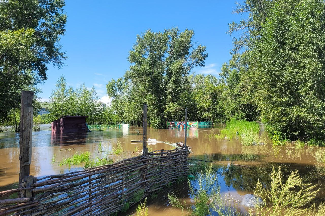 парки читы