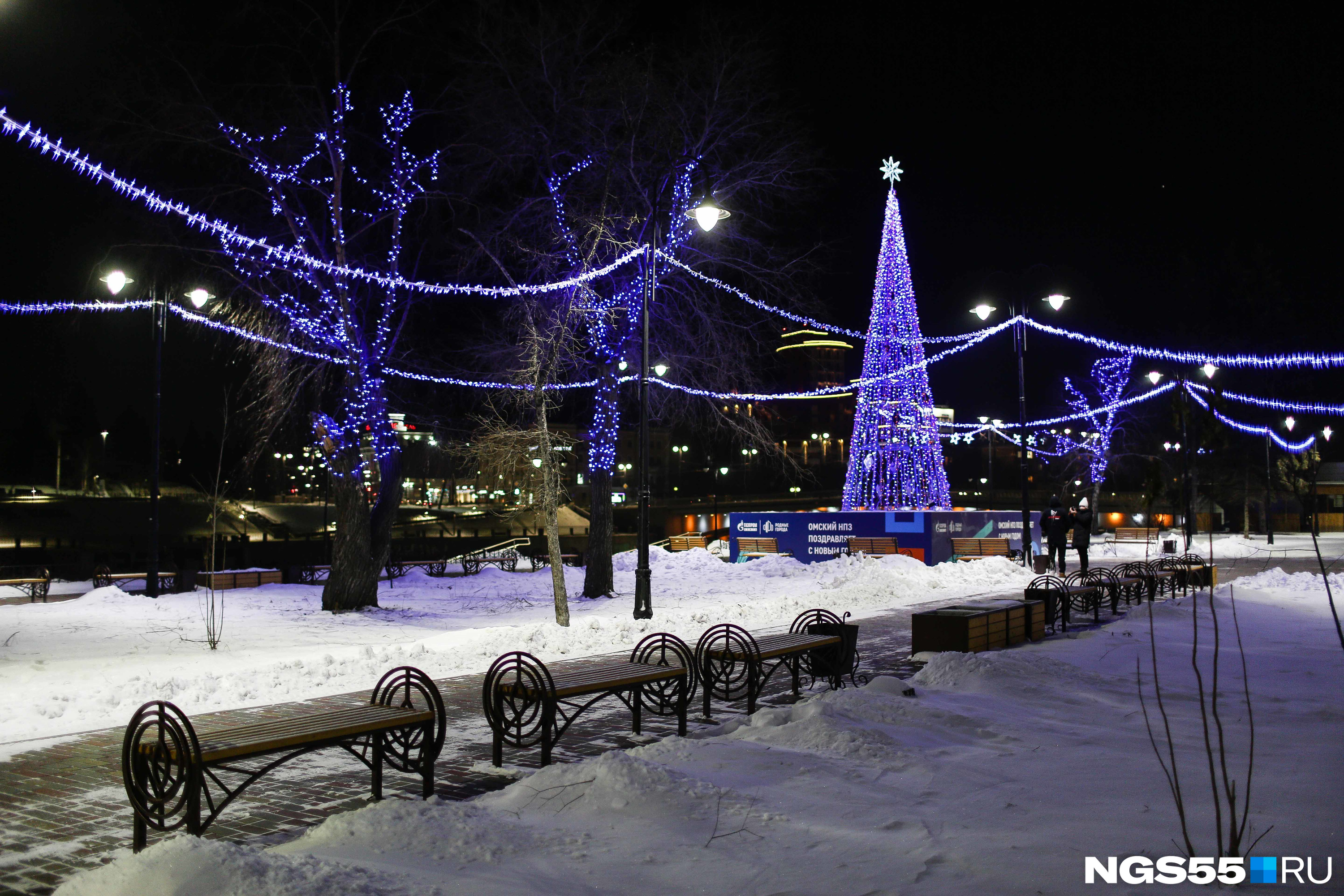 Новогодняя елка Омск