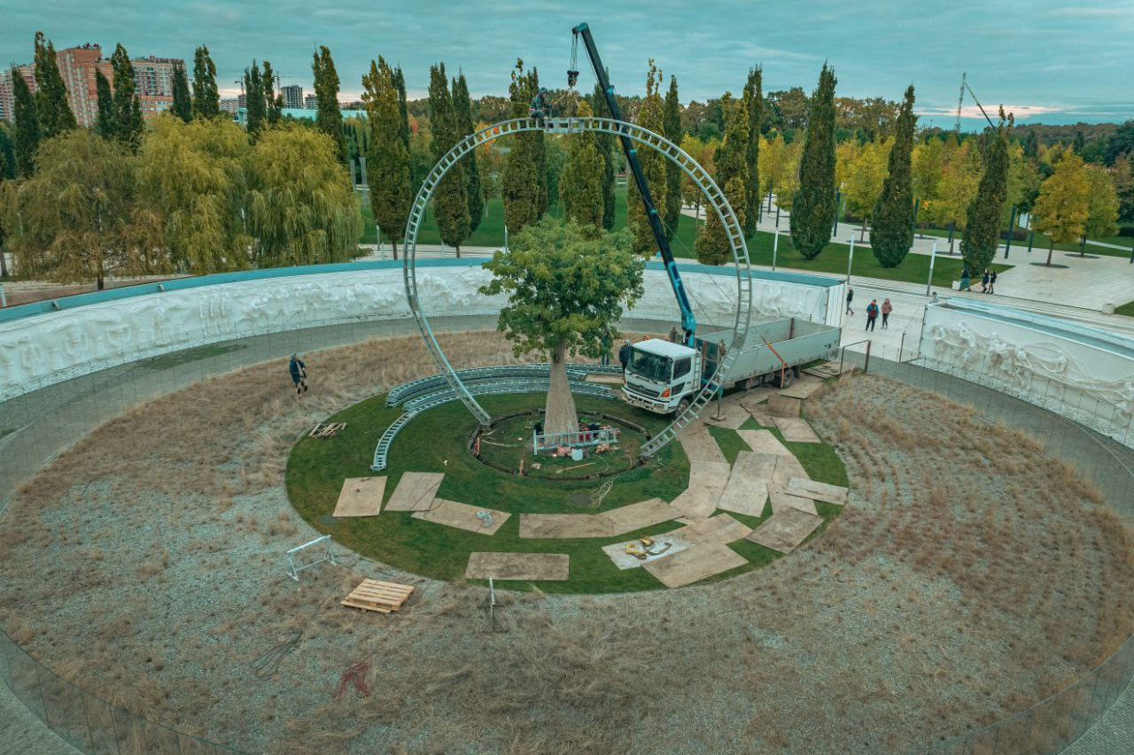 Дерево жизни парк Галицкого