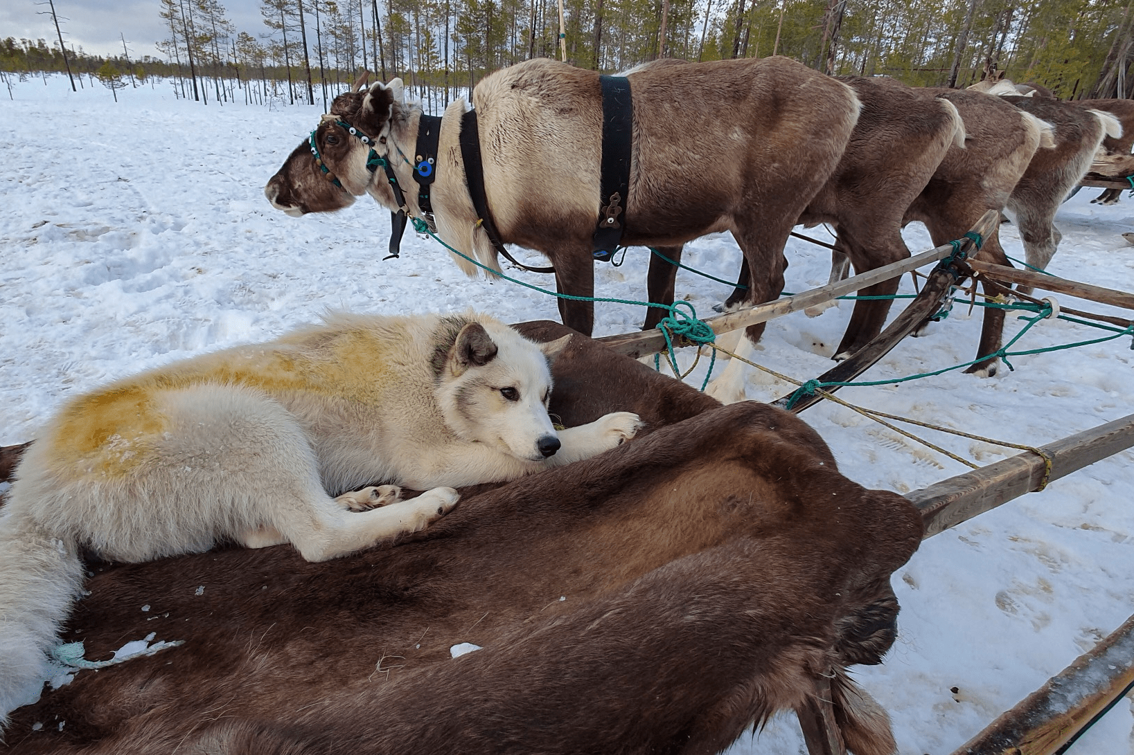 Андрей Каменев фотограф National Geographic