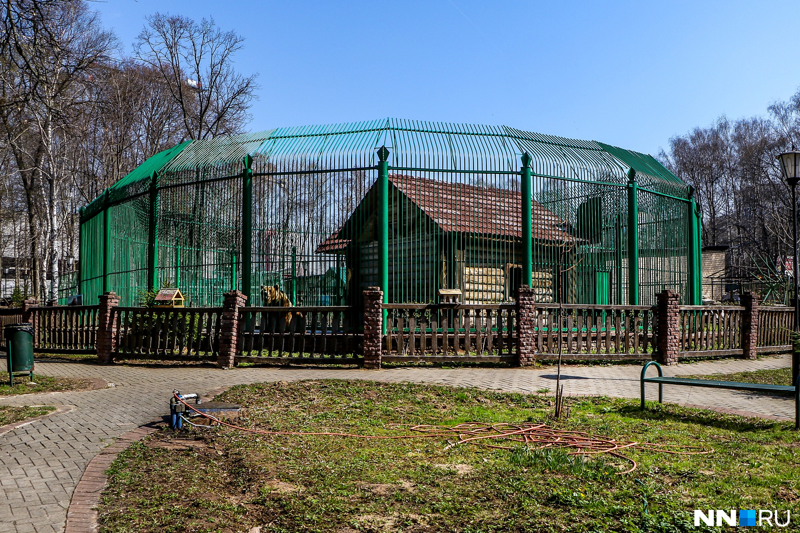 гей знакомства дзержинск нижегородской области фото 101