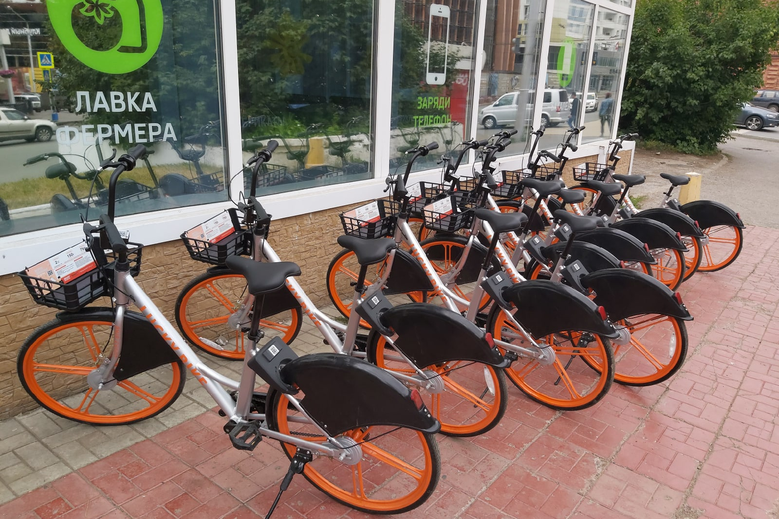 Велошеринг в Краснодаре LUCKYBIKE