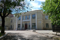            COVID-19