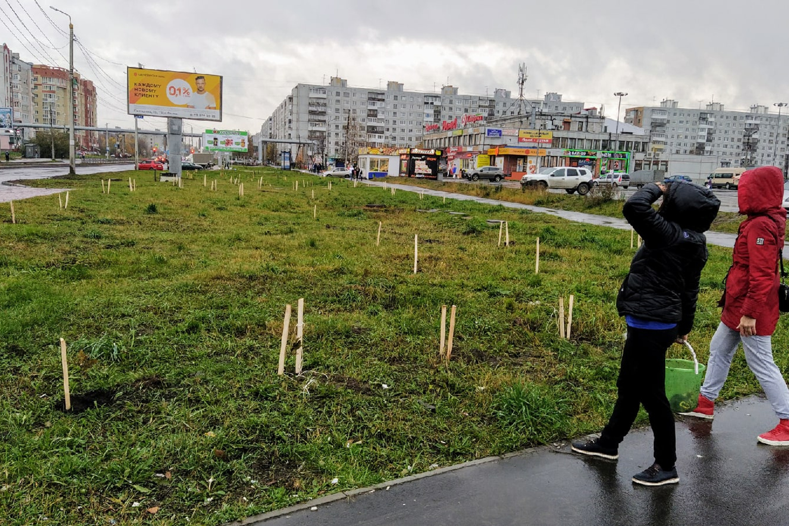 Вырубка деревьев в городе