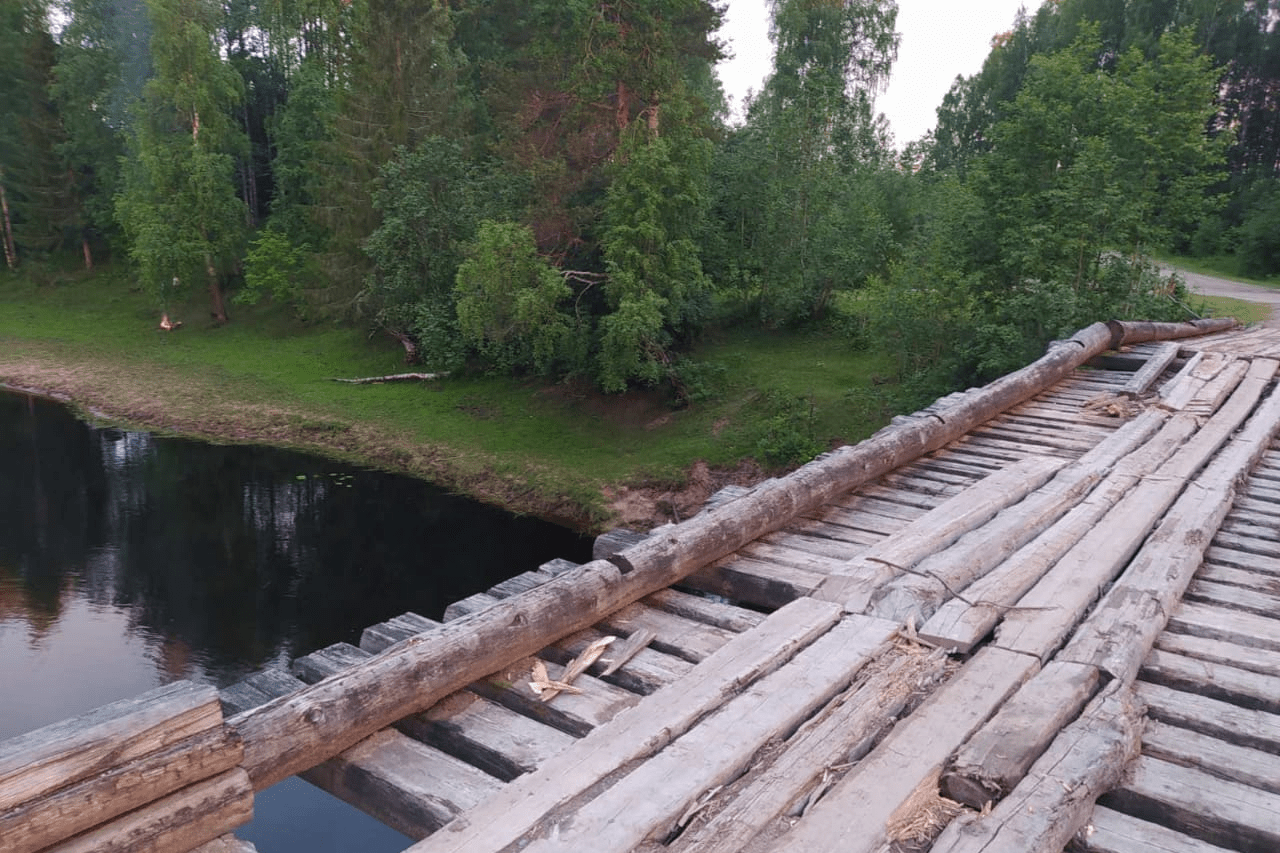 елс озеро плесецкий район