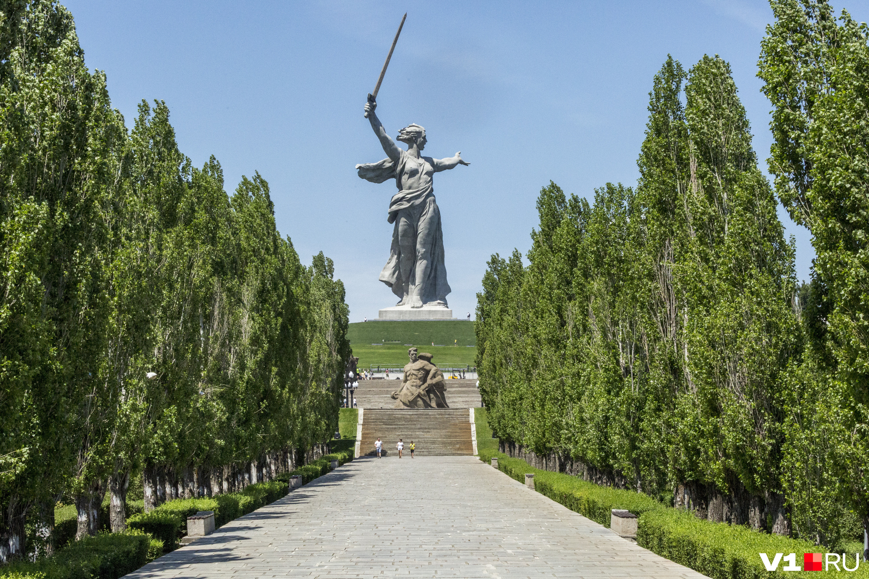 волга раст на мамаевом кургане волгоград фото 11