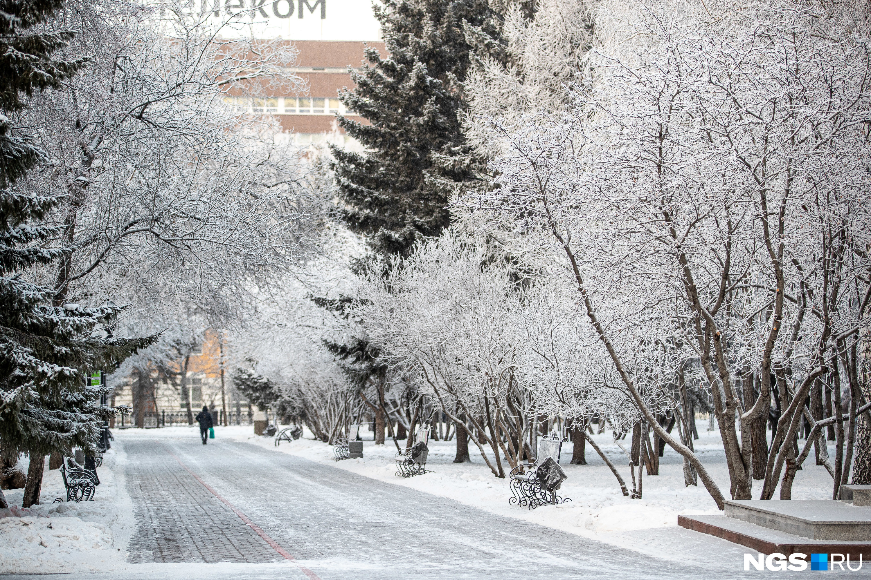 Первомайский сквер зимой фото