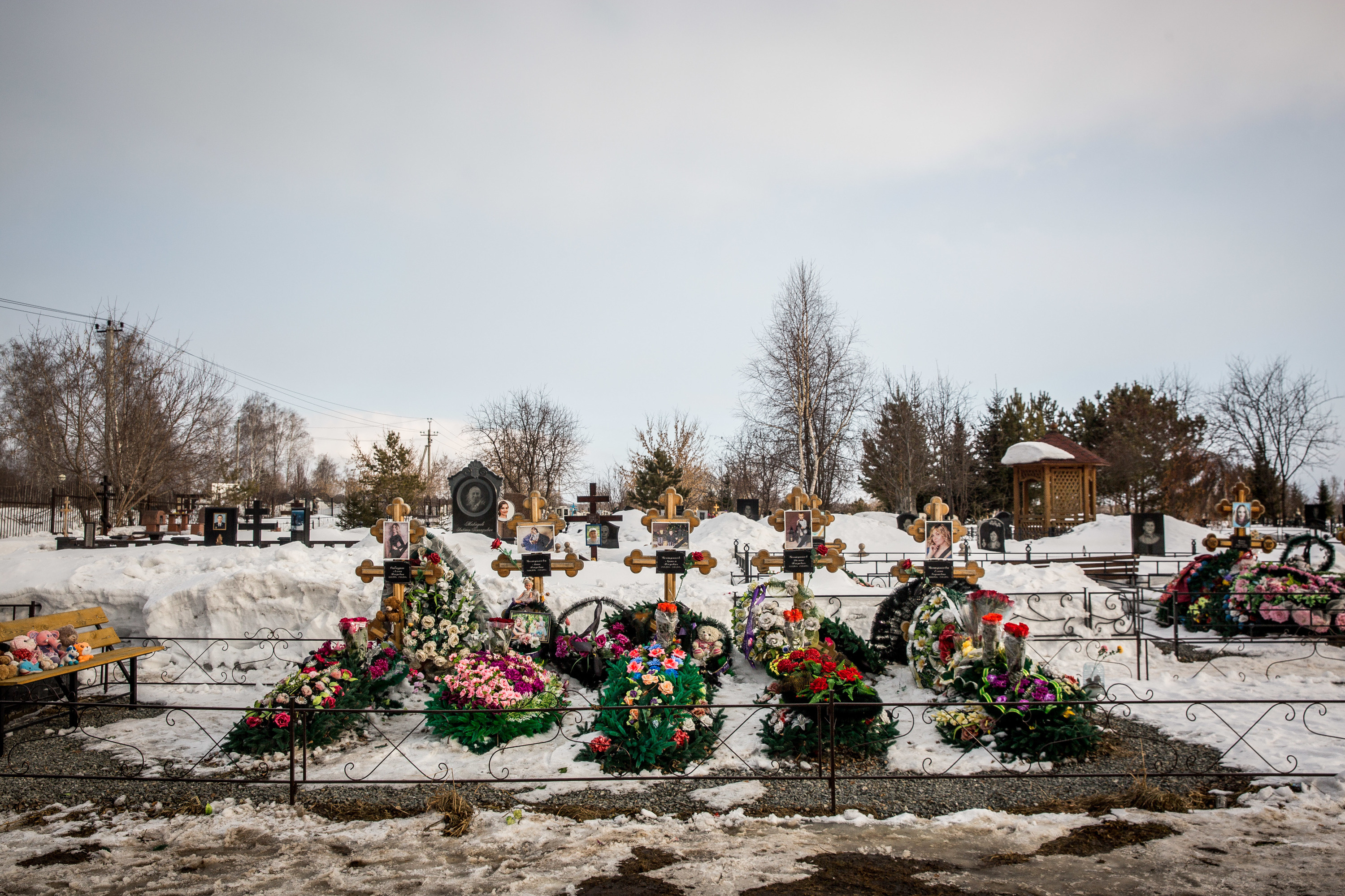 Зимняя вишня Кемерово могилы