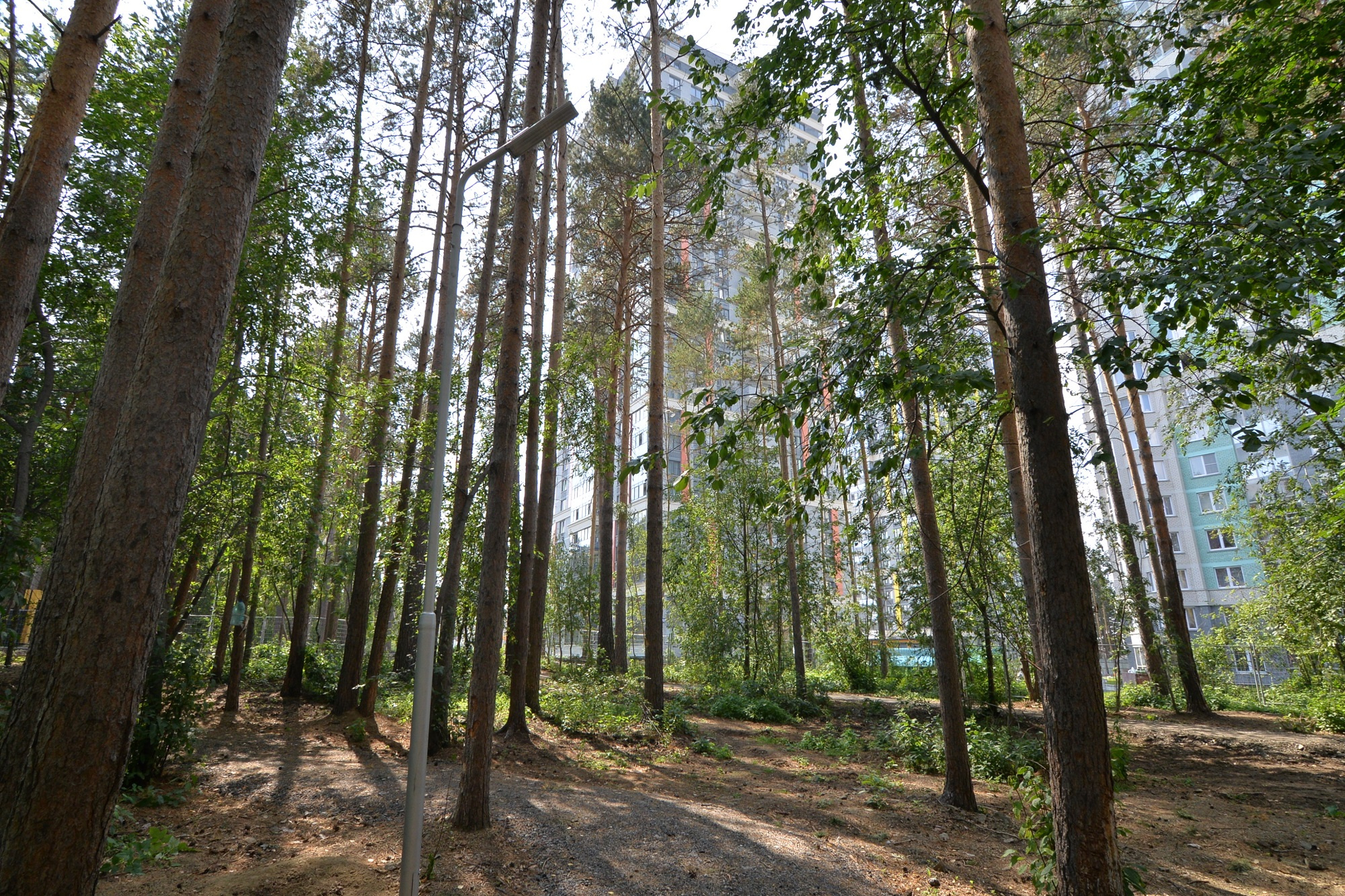 дома в парке екатеринбург