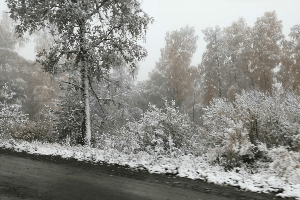 Снежный Покров в Башкортостане