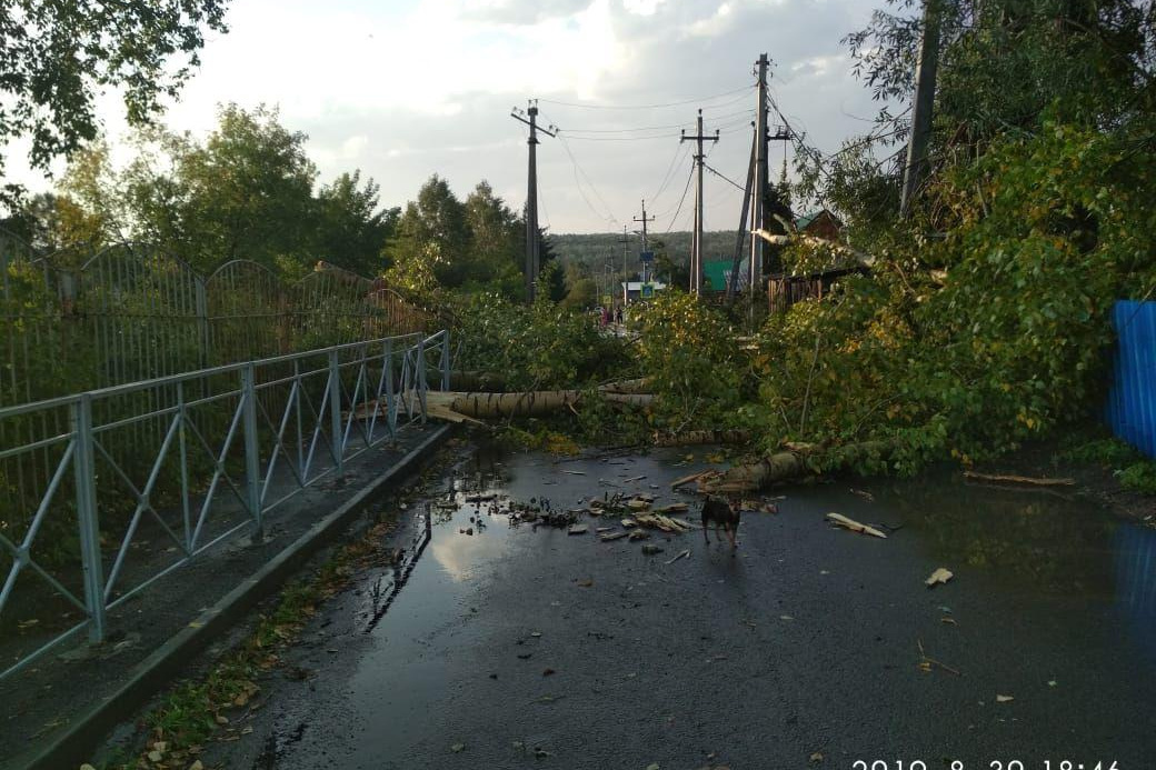 Березовка новосибирская область карта