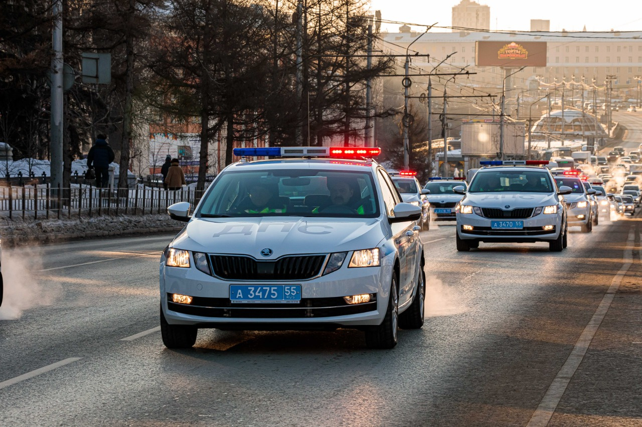 Тонированная Шкода Октавия ДПС