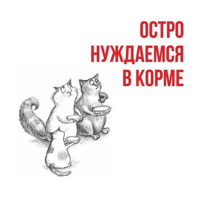 Нужна кормящая кошка картинки