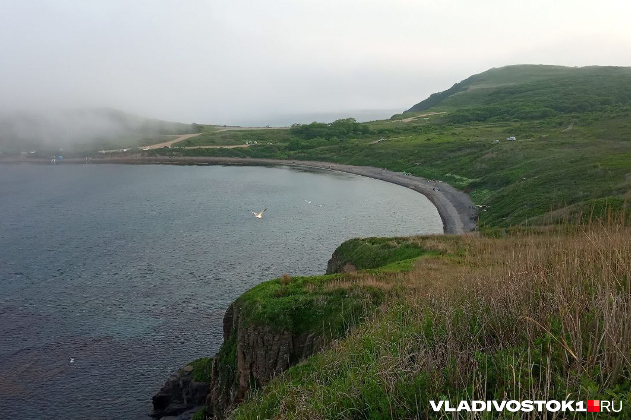 Курни Брат - 46 фото