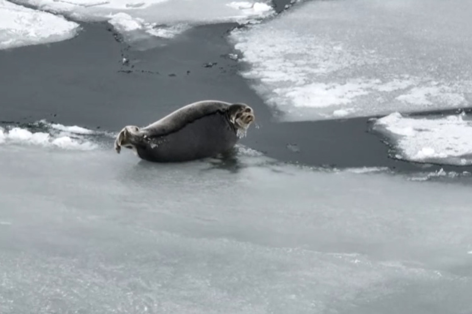 Водопад в Чивыркуйском заливе