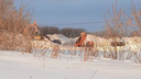 Нижегородцы сообщили о появлении станции снеготаяния в Артемовских лугах. Оттуда до сих пор не вывезли мусор