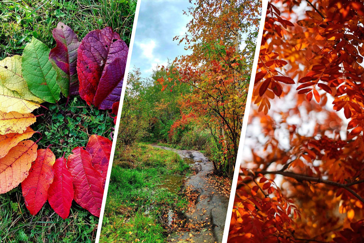 Ах, эта осень! Любуемся яркими красками Урала в объективе наших читателей