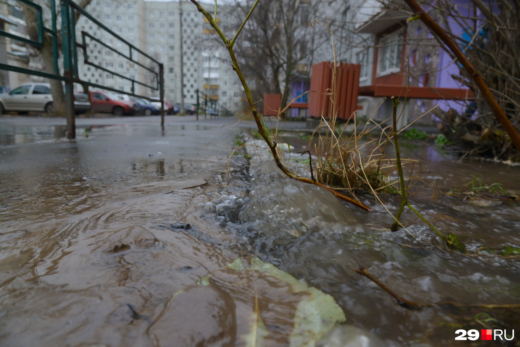 Фото в соломбале