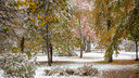 Растает ли сегодняшний снег? Синоптики фиксируют аномально ранний снежный покров в Новосибирске