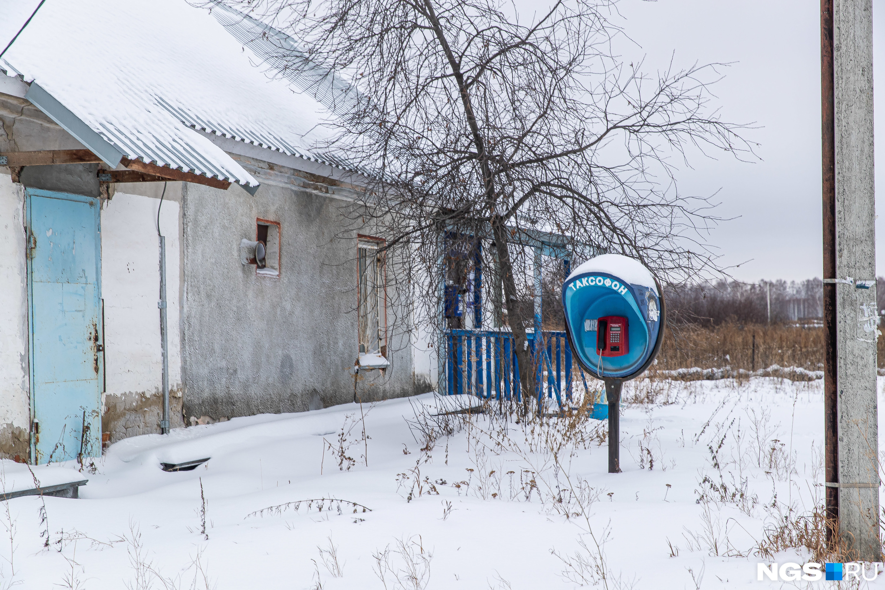 Погода сосновка на день. Погода сосновка на день. Погода сосновка на день. Погода сосновка на день. Погода сосновка на день.