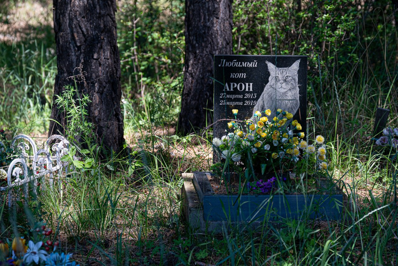 Кладбище животных. Места захоронения животных. Места захоронения животных. Могилки животных. Места захоронения животных.