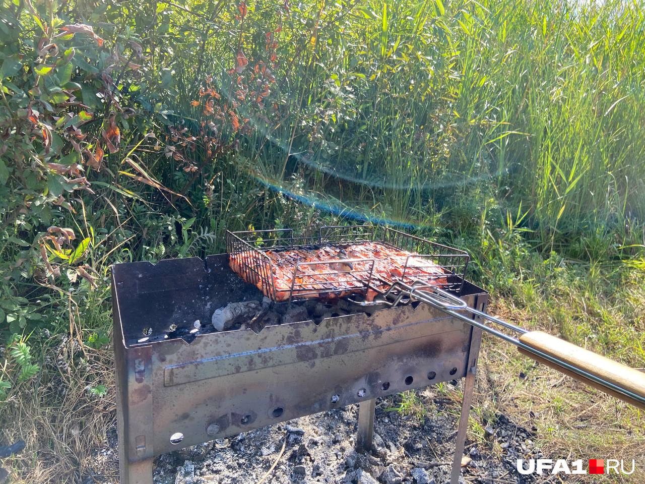 На природе всегда аппетит лучше На природе всегда аппетит лучше