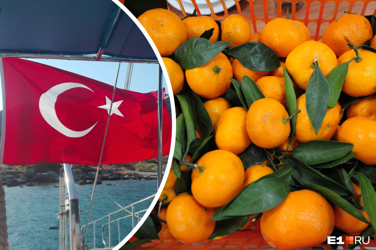Останемся без фруктов и одежды? Как землетрясения в Турции отразятся на поставках товаров в Россию