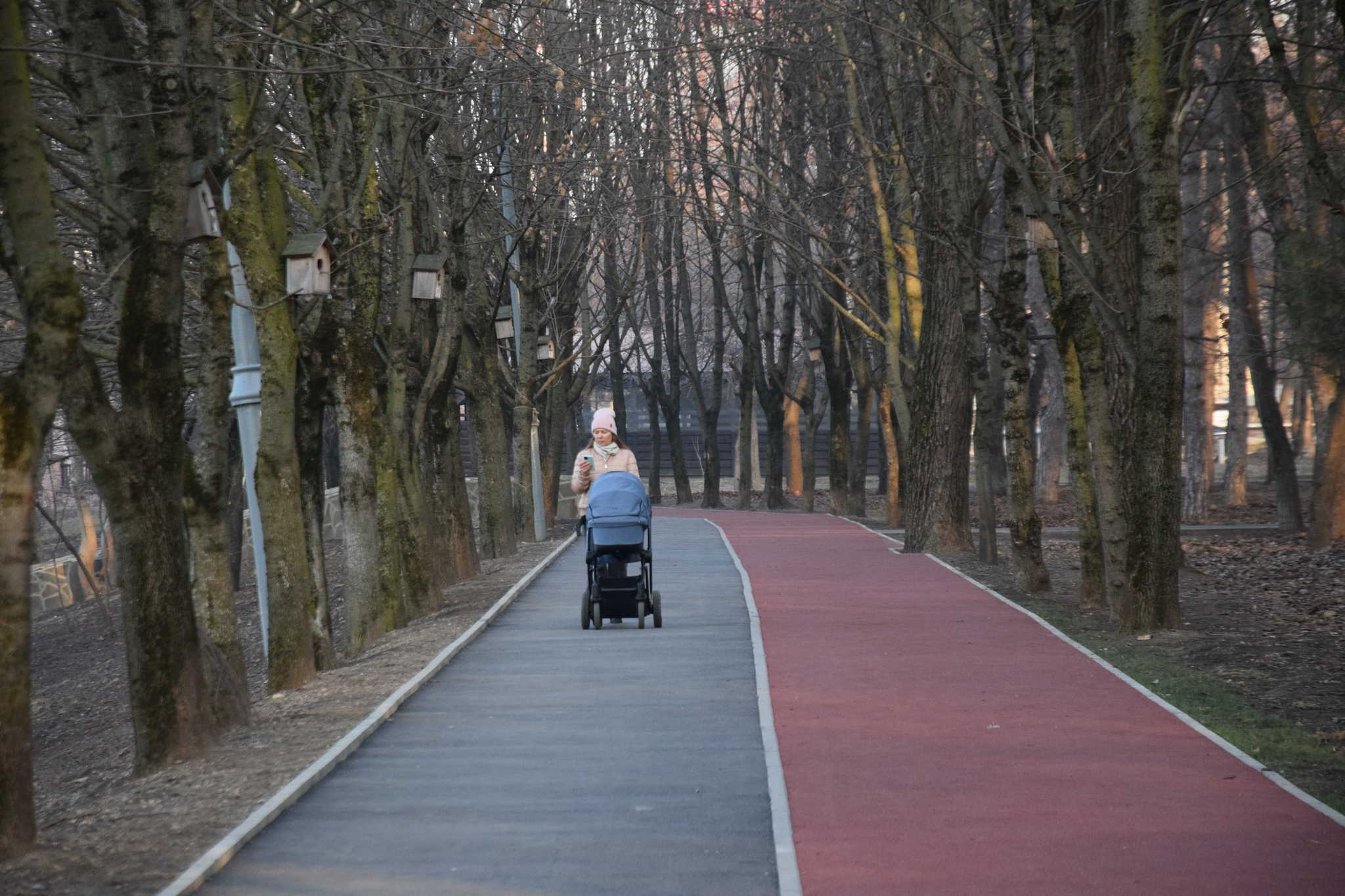 Краснодар парк кубань