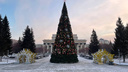 На площади Ленина установили главную елку Новосибирска — что еще появится в Театральном сквере