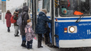 В Волгограде потребовали отменить закупку новых автобусов и заменить оставшиеся троллейбусами