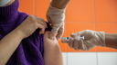 Постановление о подчищающей иммунизации против кори подписано в НСО — изучаем, кого привьют