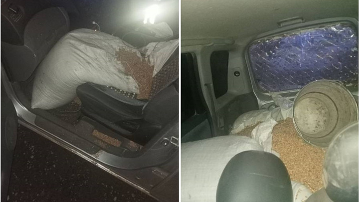 Комбайнер и его друг украли 800 кг зерна в Шарыповском районе
