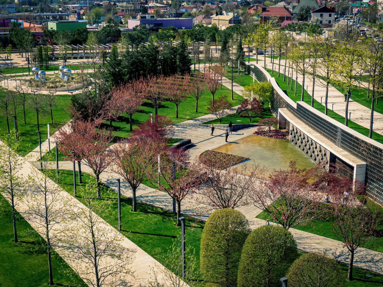фото парка галицкого в краснодаре 2023 летом
