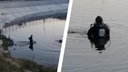 19-летний парень утонул в озере рядом с «Локомотив-Ареной» во время купания