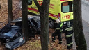 Водителя увезли в больницу: в Ярославле на Автозаводской улице легковушка влетела в дерево