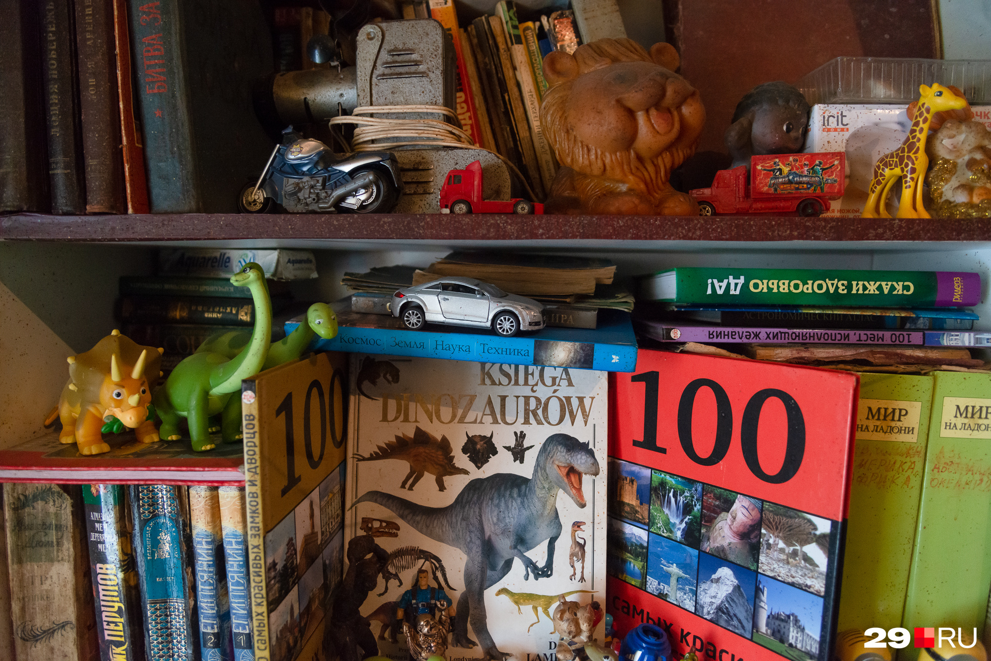 Жемчужина в библиотеке пенсионера — книга про динозавров на польском. Юрий свободно владеет этим языком, у него польские корни