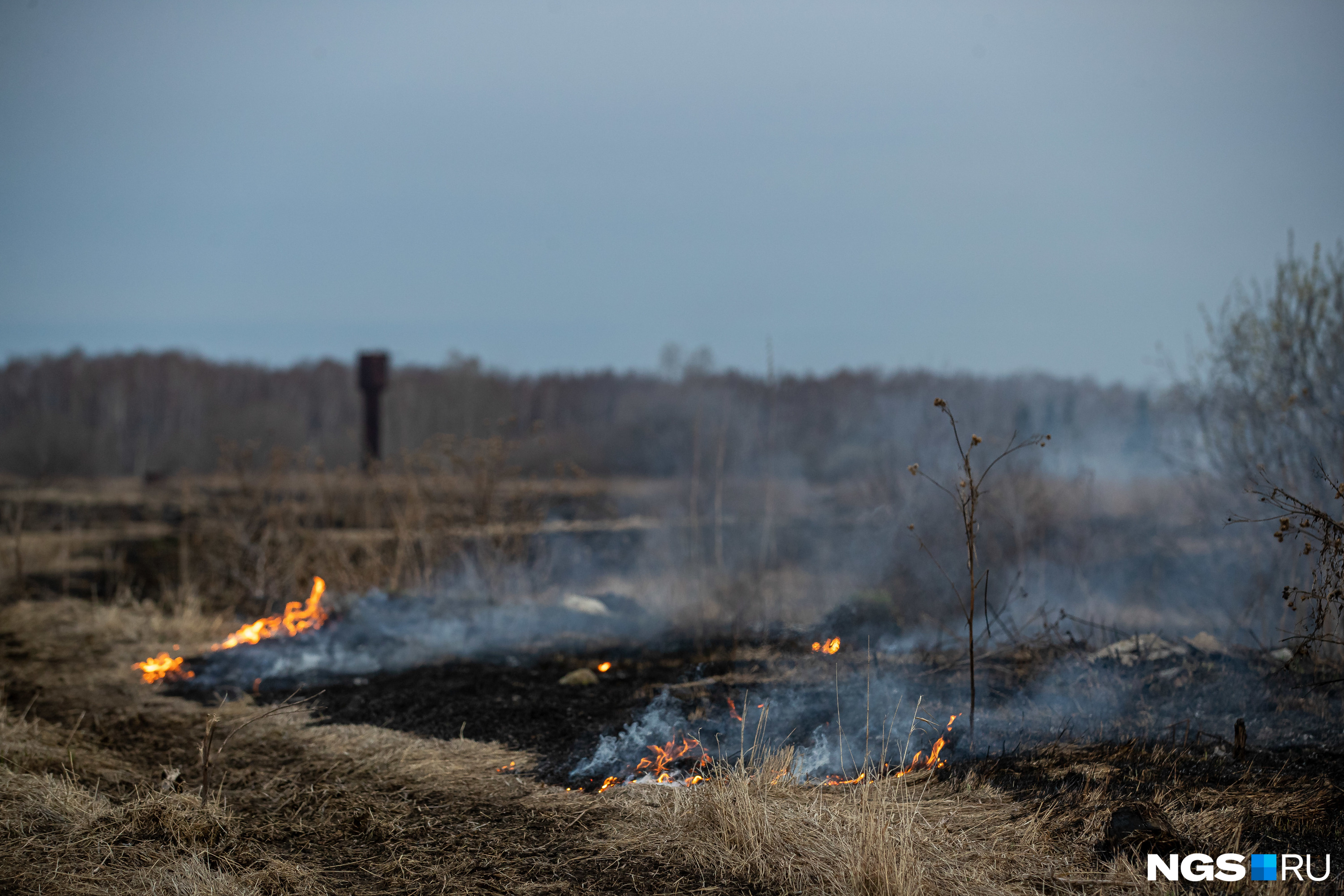 Запрещается сжигать порубочные остатки и горючие материалы на земельных участках в границах полос отвода и охранных зон железных дорог