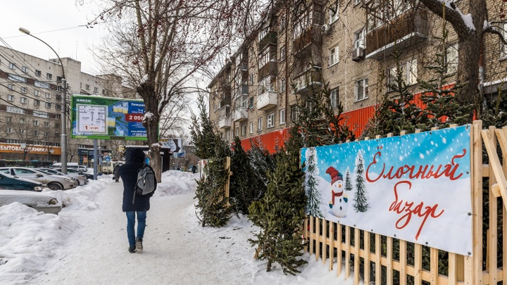 Где купить елку на Новый год в Кемерове и Новокузнецке: показываем на картах