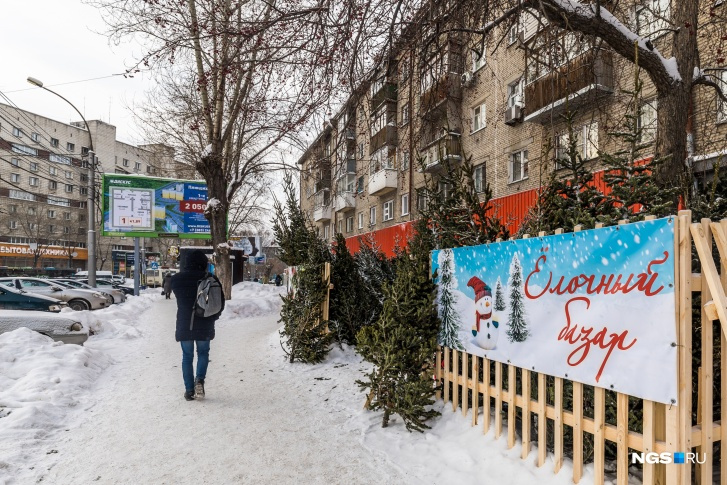 Где купить живую елку на Новый год в Кемерове и Новокузнецке, адреса елочных базаров Кузбасса в 2021 году - 17 декабря 2021 - НГС42.ру