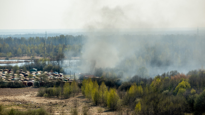 Три района под угрозой: спасатели предупредили о чрезвычайной пожароопасности в Ярославской области