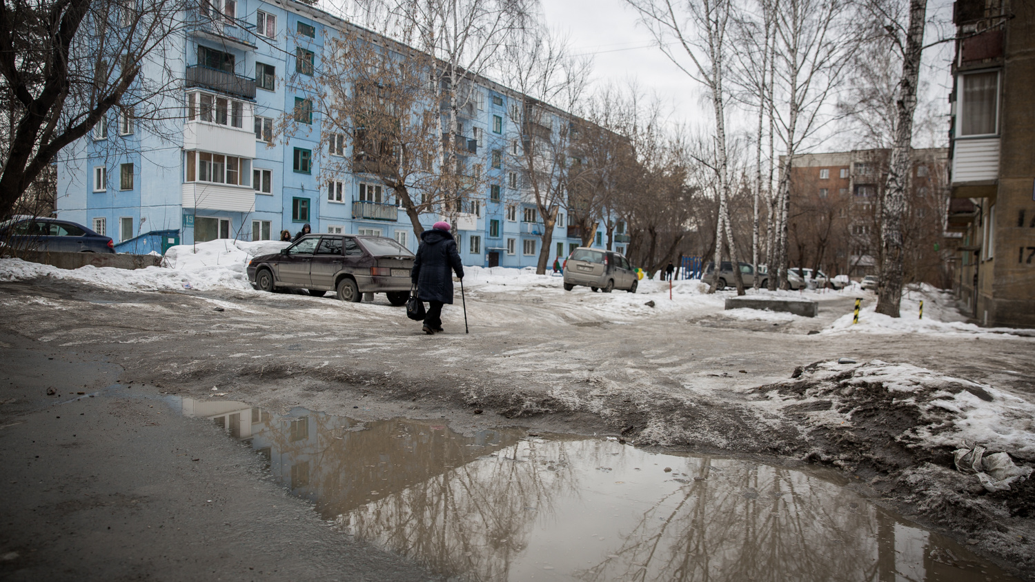 Потепление в новосибирске