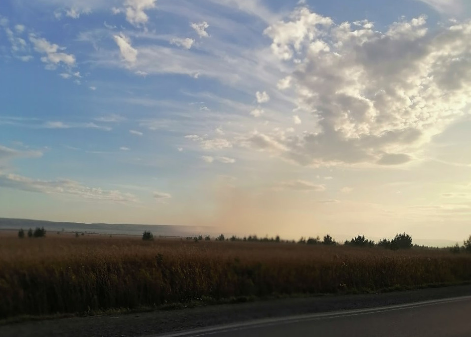 В Чкаловском районе горит торфяник