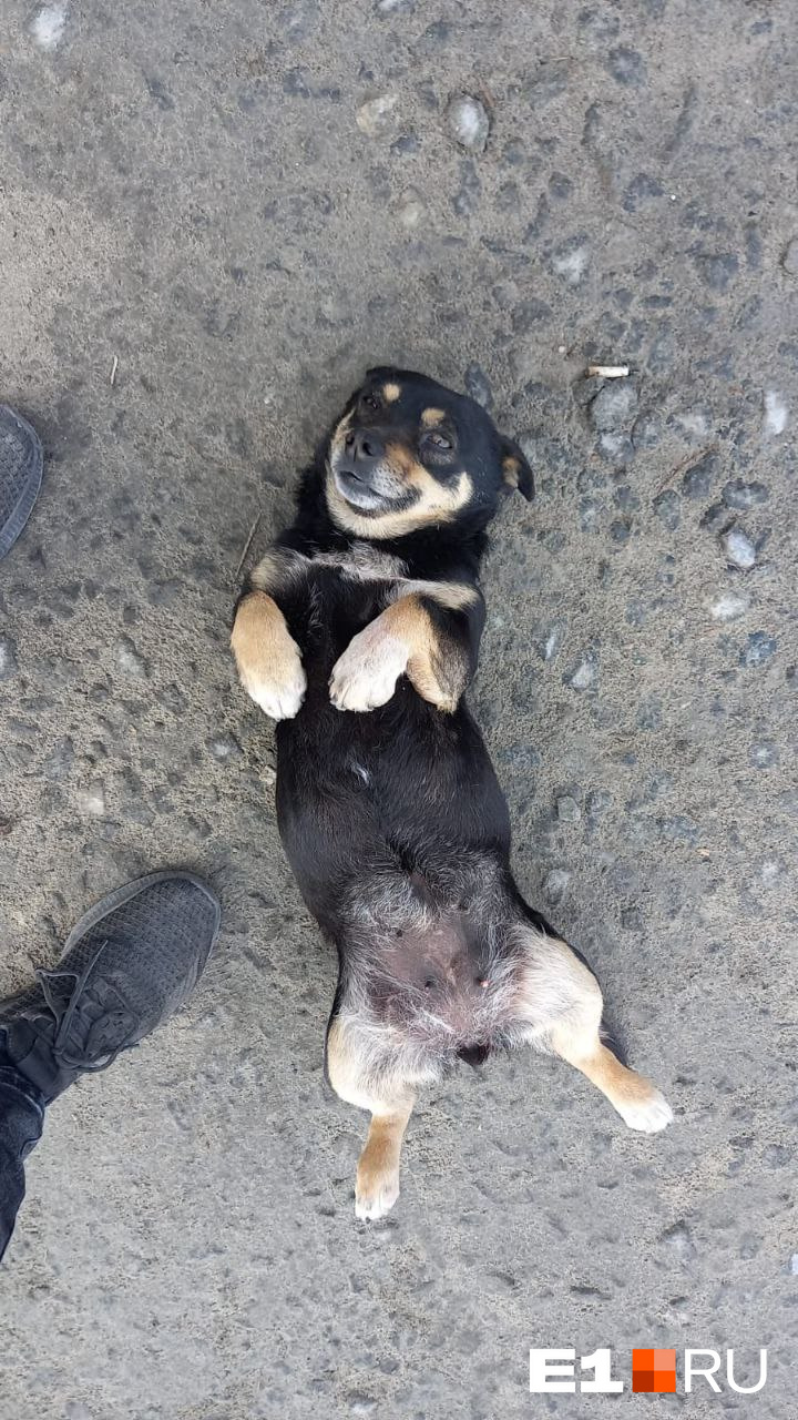 Мотя до инцидента Мотя до инцидента