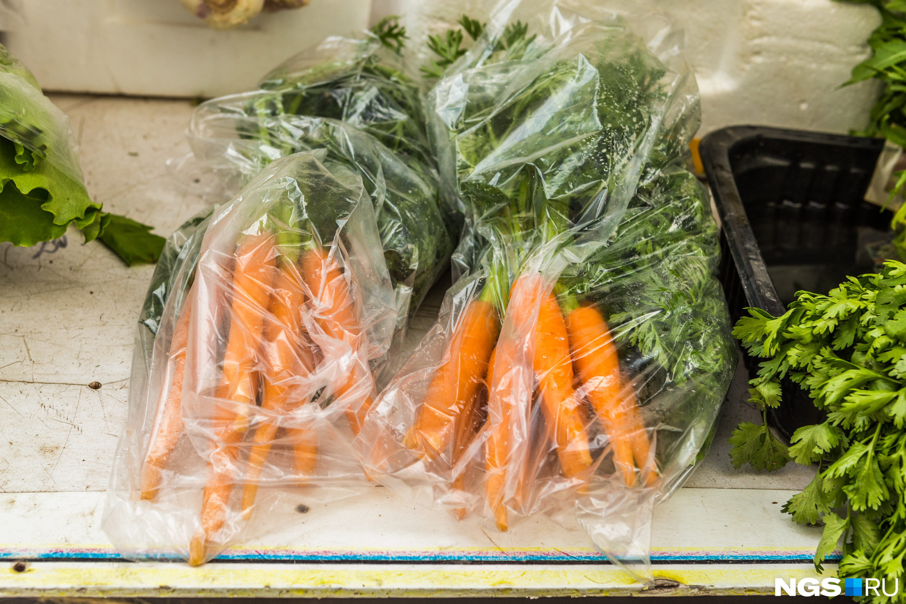 Ботву с моркови перед отправкой на хранение нужно срезать, и верхнюю часть корнеплода тоже