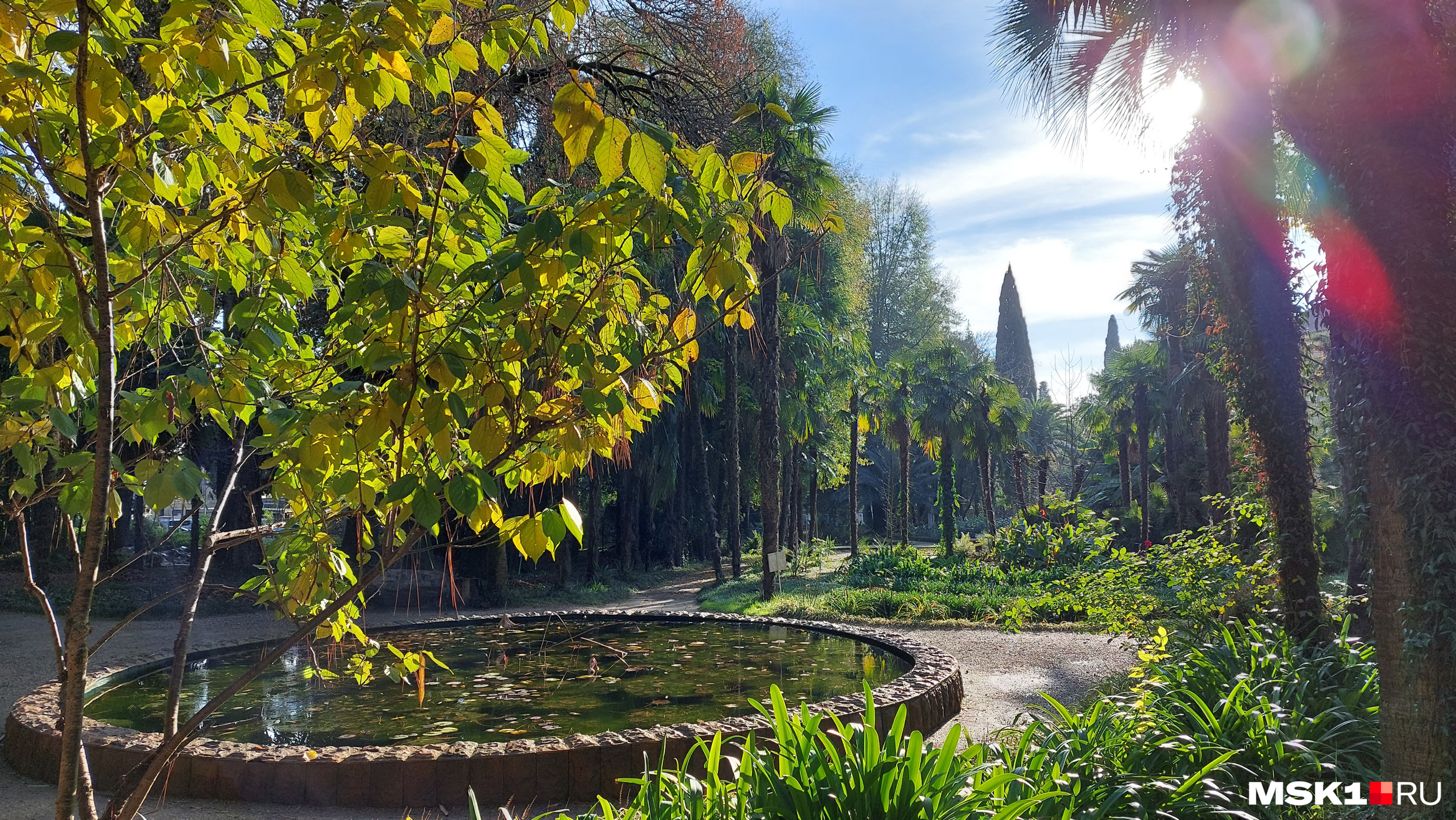 Ботанический сад Сухума